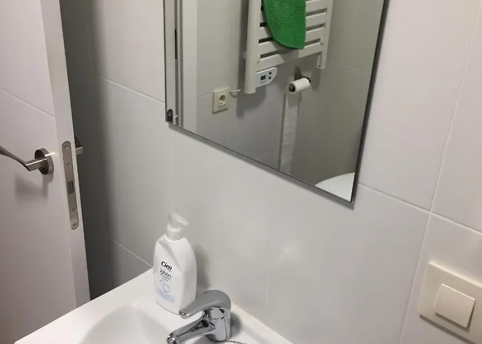 En El Centro De Apartamento Toledo